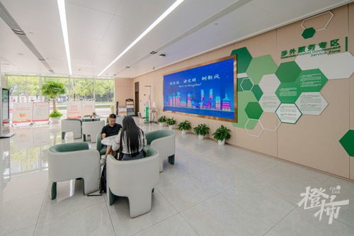 國(guó)際化政務(wù)服務(wù)大廳 64種語(yǔ)言同聲翻譯服務(wù)，開(kāi)啟全球溝通新篇章